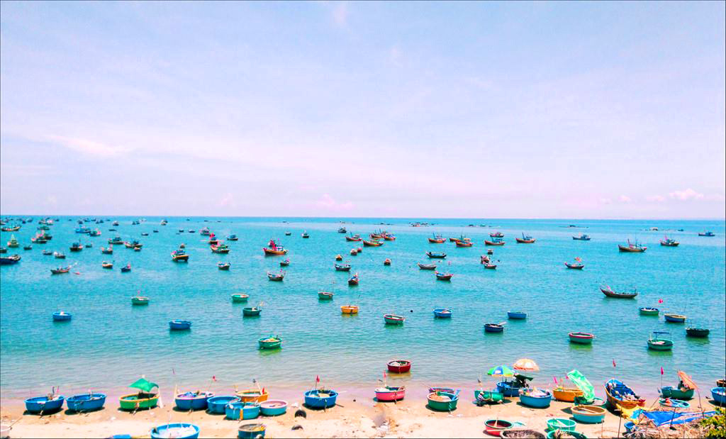 WHY VIETNAM?