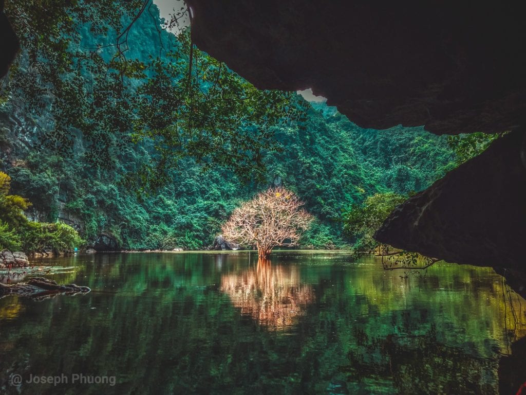Lonely Tree, Ninh Binh - Joseph Phuong