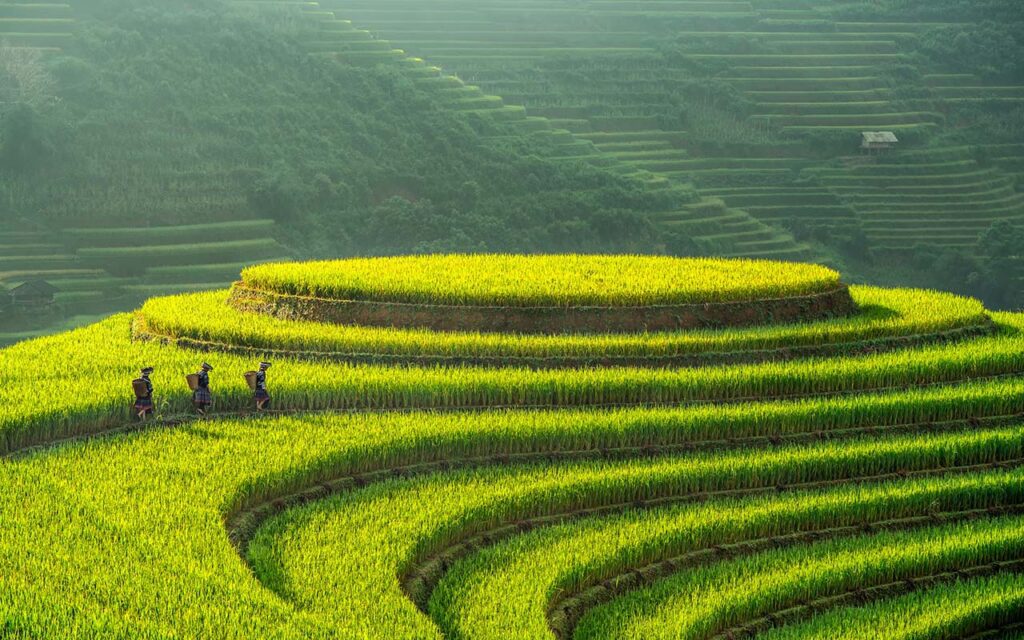 10 Best Places to Visit in Vietnam in 2022 (with Map and Poll)