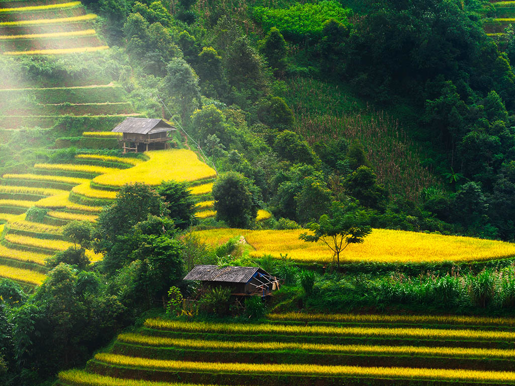 Top 10 Hidden Gem Destinations in Vietnam - Yen Bai