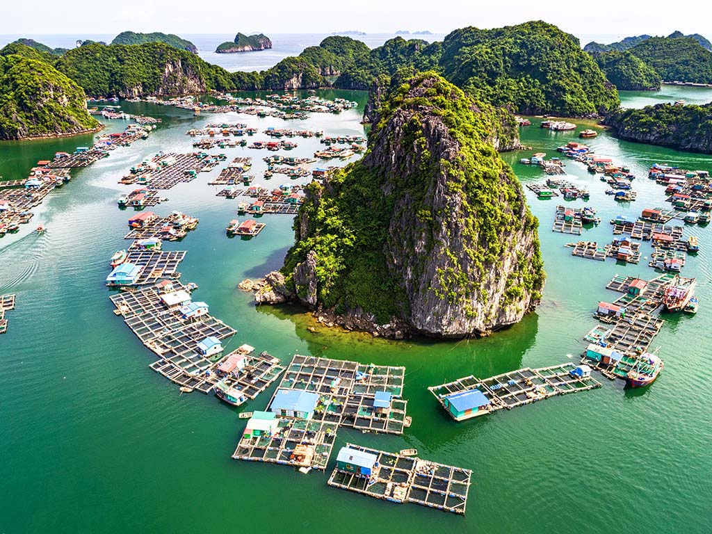20 Best Things to Do in Vietnam - Explore Cat Ba Island