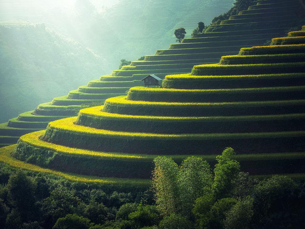 Standing in paradise terrace fields - Mu Cang Chai