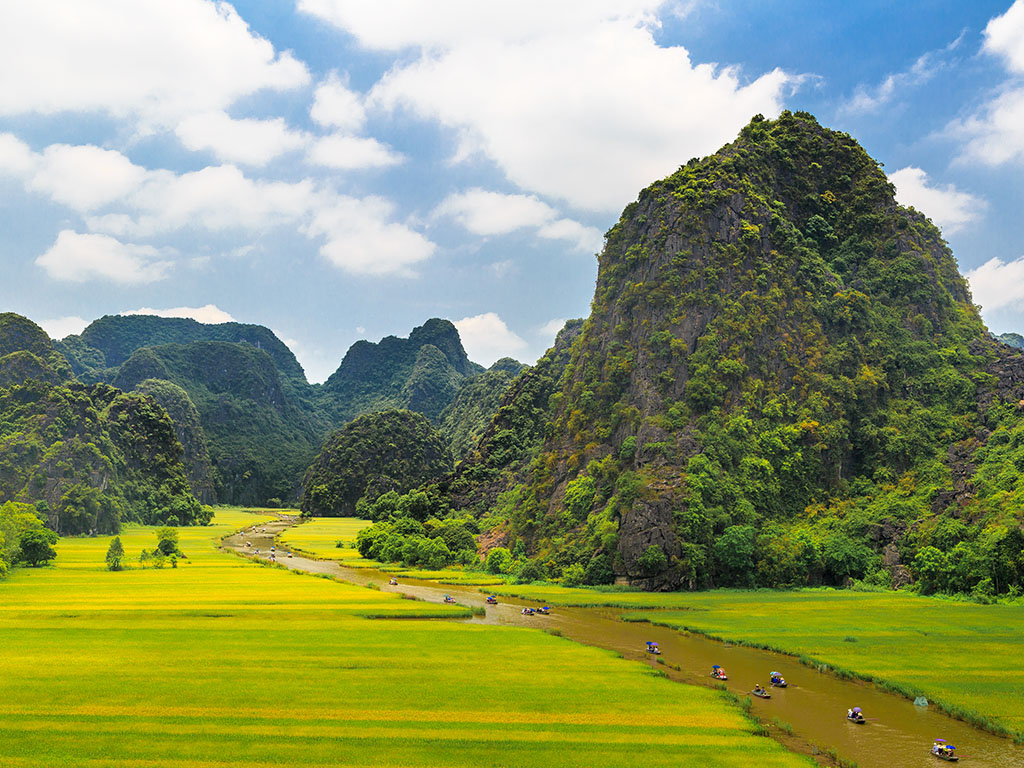 Standing in paradise terrace fields - Admire Tam Coc - Ninh Binh