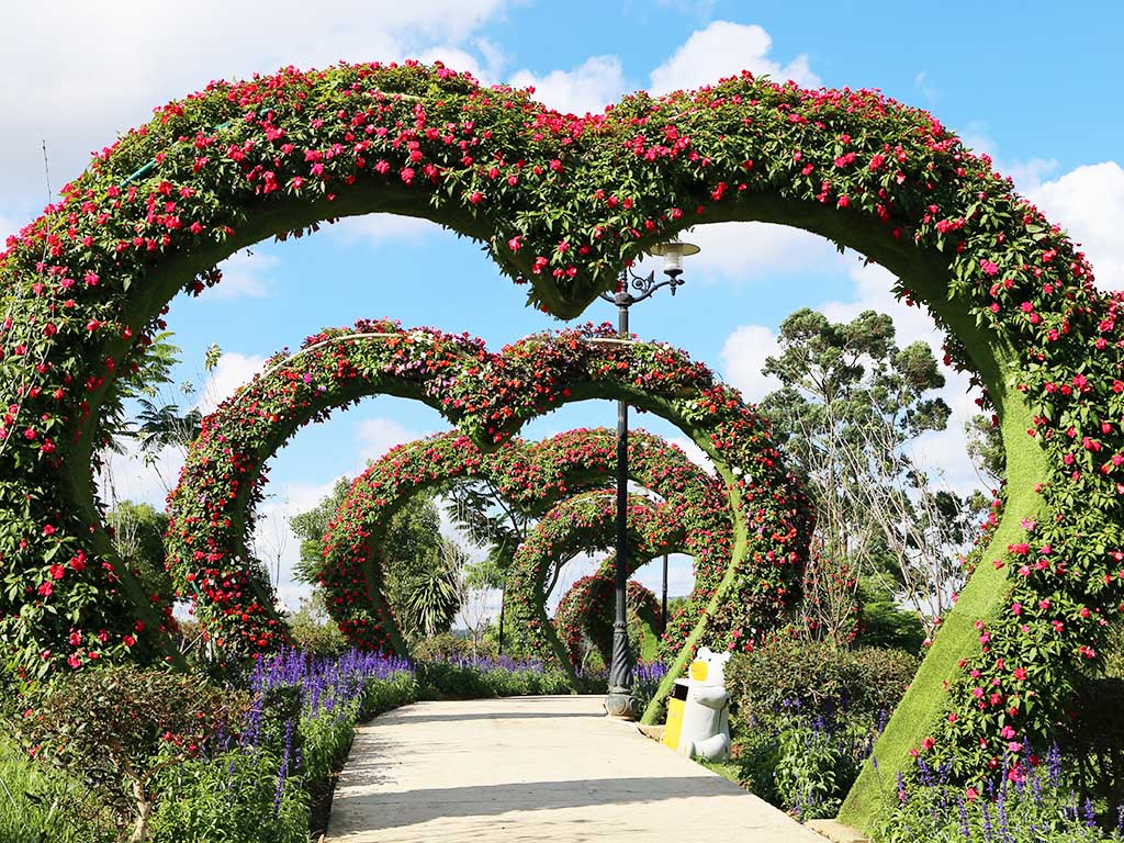 Dalat Flower Garden