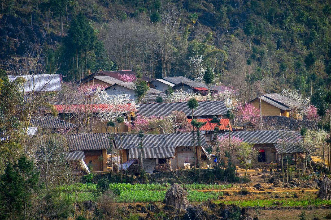 Accommodation in Vietnam 3 Homestays in rural and mountainous regions offer a more authentic and immersive stay experience in Vietnam.